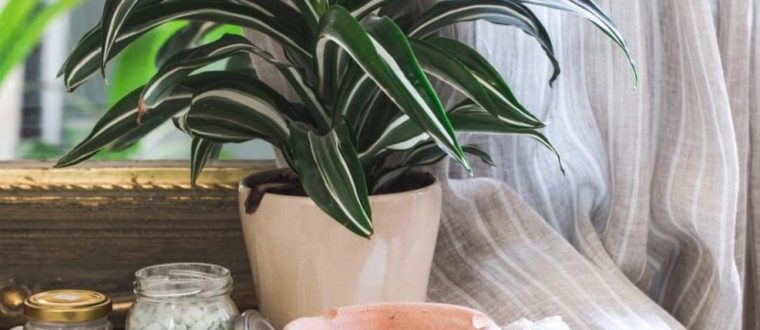 איך תנקי אנרגיות לא טובות בבית